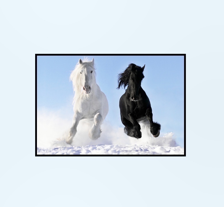 Caballo Dual