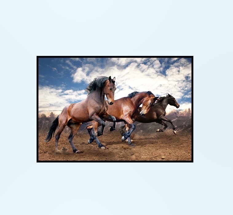 Caballo Marron